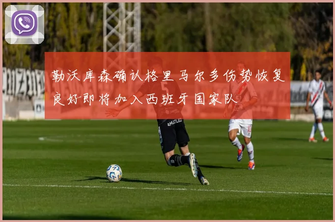 勒沃库森确认格里马尔多伤势恢复良好即将加入西班牙国家队
