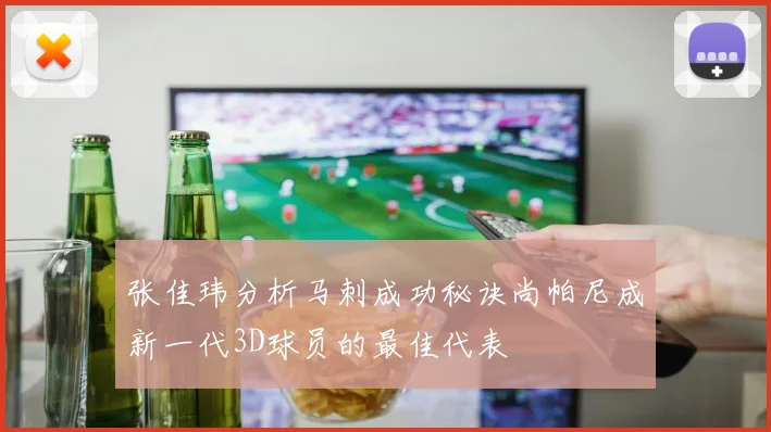 张佳玮分析马刺成功秘诀尚帕尼成新一代3D球员的最佳代表