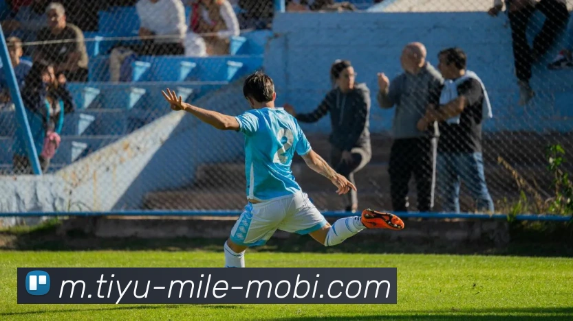 米乐体育平台生态图